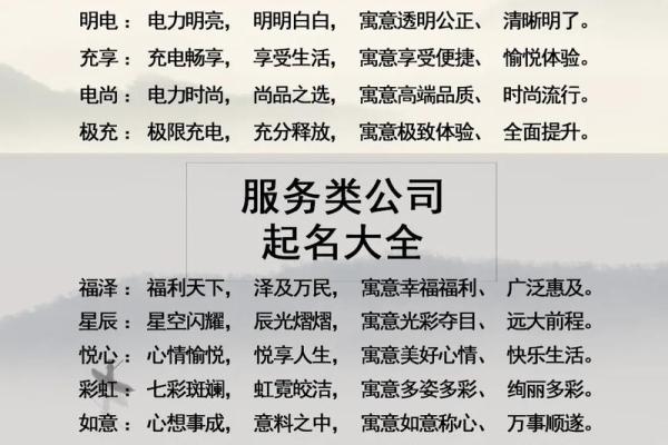 芯片研发公司起名关于做芯片公司起名