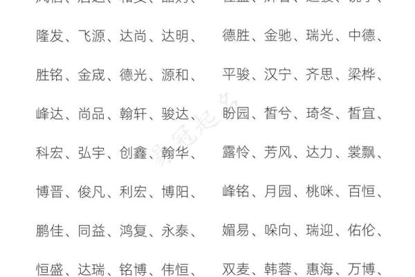 公司起名鹏远的名字,鹏字公司名称大全简单大气