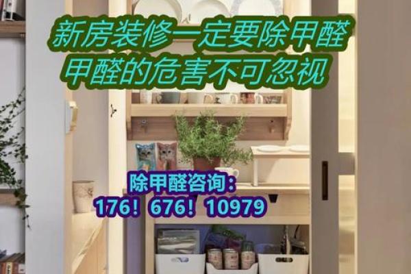 环保除甲醛公司起名除甲醛公司取名字