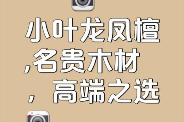 公司取名带檀字的名字大全公司取名带檀字的名字大全女孩