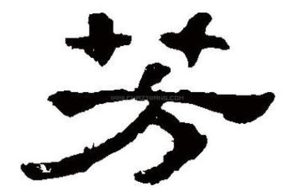 用芳字给公司取名好吗女 带芳字公司起名
