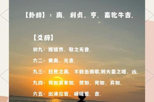 易经离卦给公司取名,卦易居公司测名