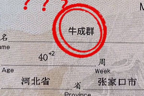 张家口公司起名专业机构张家口企业名录查询