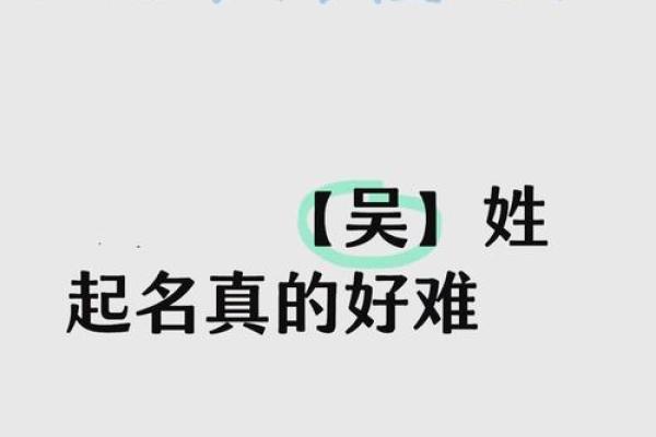 吴姓起名公司文案搞笑版姓吴起名字搞笑