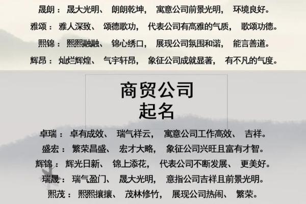 贸易公司取名大全带子字,贸易公司取名 用什么字比较好