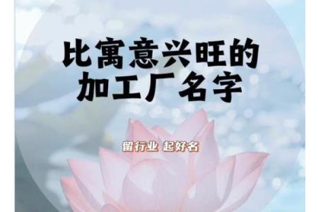 公司起名兴源怎么样,兴源寓意