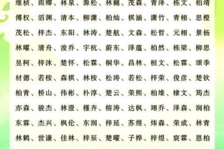 含木公司起名字大全免费含木的公司名字大全集