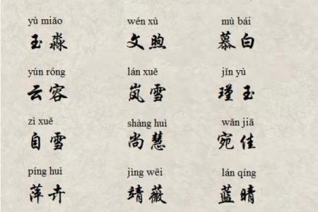 公司起名带璐字好吗男孩璐 取名
