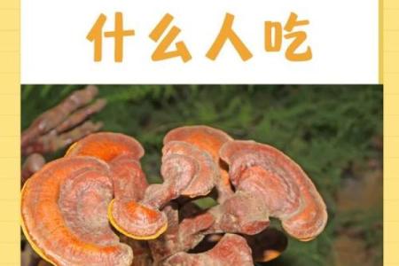 灵芝生物公司起名,灵芝生物公司起名大全