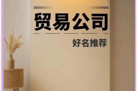 贸易公司取名能加国际吗 贸易公司可以加国际吗