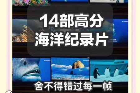 海底生物公司起名大全 海底公司名称