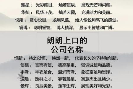 科技公司起名带明字科技型 公司 取名