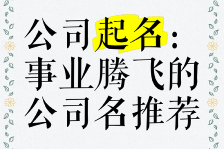 飞扬腾达的公司取名,飞黄腾达公司名称