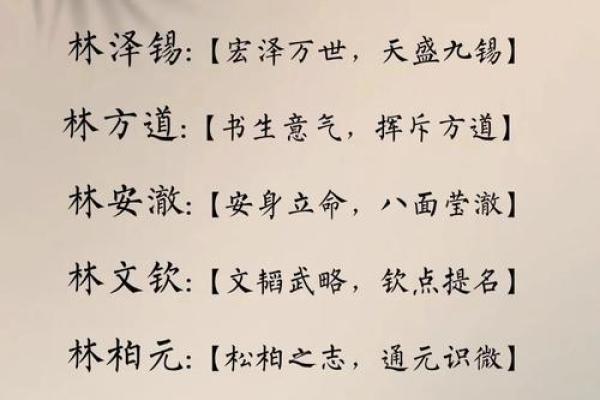 家电公司取名带林字,家电公司起名用字大全