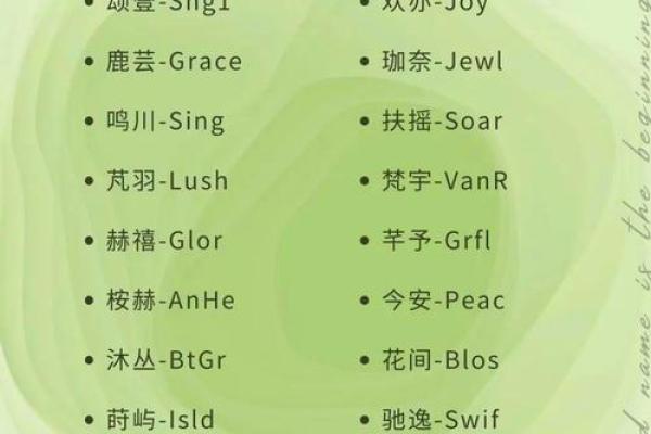阳刚的店铺起名公司 洋气的店铺名字简约大方