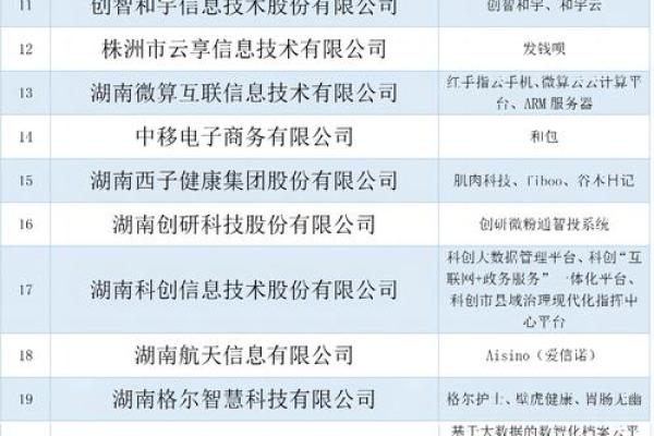 互联网公司 起名字,互联网公司名称怎么起