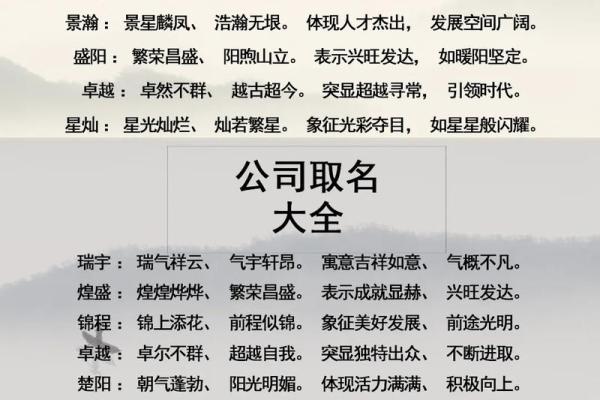 给网络公司起名参考给网络公司起名参考怎么写
