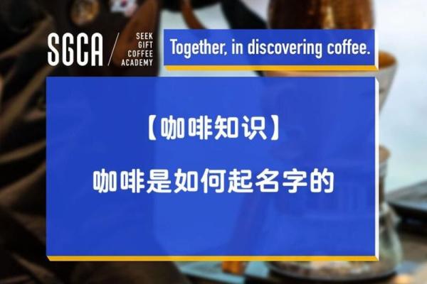 咖啡餐饮娱乐公司起名咖啡餐饮娱乐公司起名怎么起