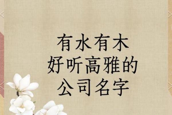 典雅公司取名大全,高雅的公司名字大全