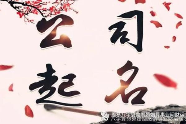 公司取名中天师创 公司起名大师