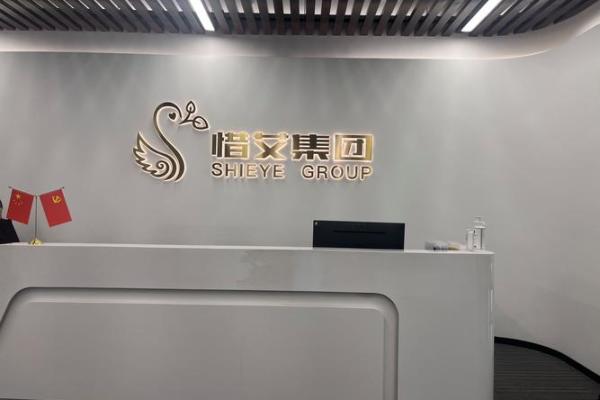 公司带兴字名称取名 公司带兴的名字