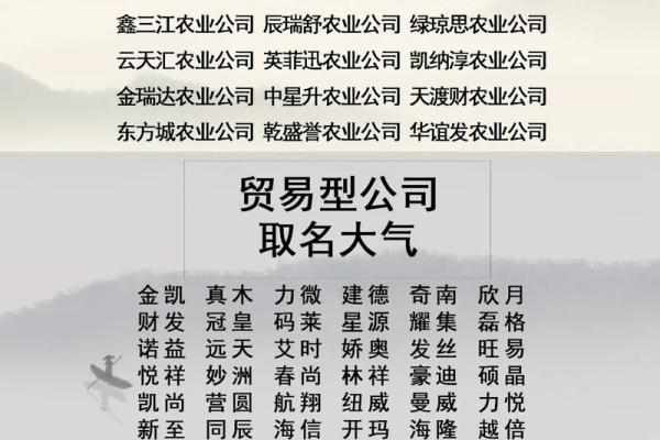 经贸公司怎么起名字高级,经贸公司是干啥的