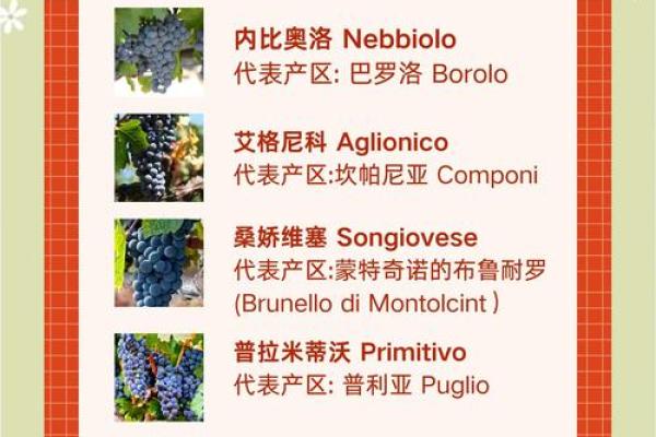进口葡萄酒公司起名,进口葡萄酒贸易公司起名