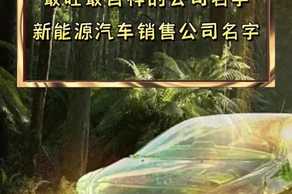 吉利一点的公司取名大全吉利又生僻的公司名