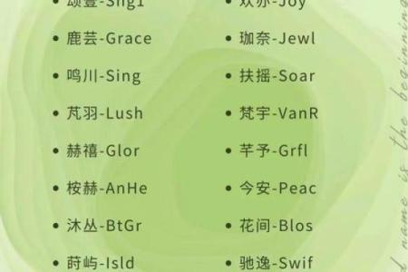 阳刚的店铺起名公司 洋气的店铺名字简约大方