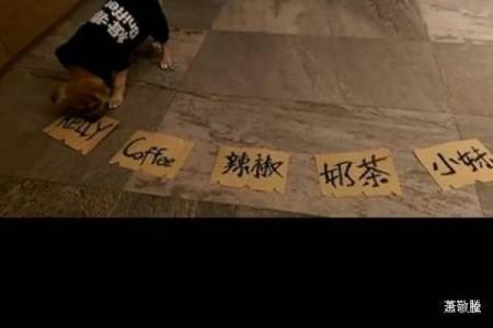 虚拟娱乐公司怎么起名虚拟娱乐圈什么意思