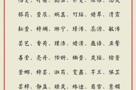 冷门公司名字取名大全女,适合公司名字冷门字