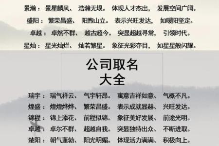 给网络公司起名参考给网络公司起名参考怎么写