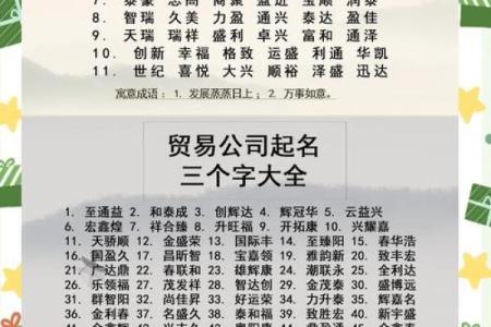 公司取名嘉禾的意义,公司取名嘉禾的意义是什么