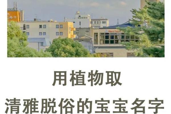 公司要用植物起名吗公司要用植物起名吗怎么起