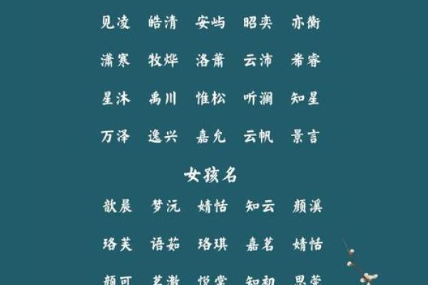 朗字在前面公司取名,朗字在前面公司取名怎么取
