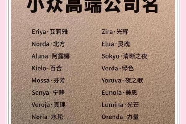 科技公司英语起名怎么起,有创意的科技公司名字英文